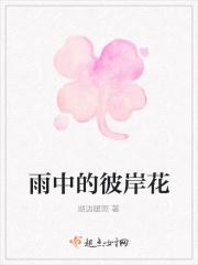 雨中的彼岸花图片大全 雨中的彼岸花图片大全