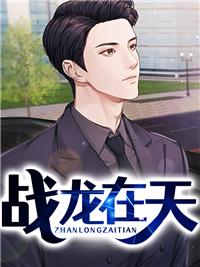 战龙在天叶无双免费播放全集 战龙在天叶无双免费播放全集