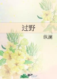 过野是什么意思