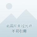 无限深度谁是主演