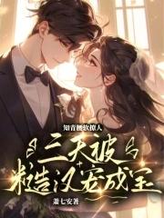 知青嫁给糙汉子的年代文