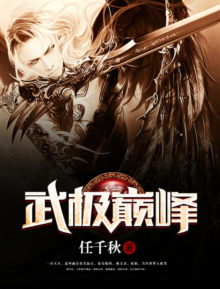 武极巅峰吧