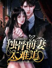 浅婚衍衍全文免费阅读全文原文