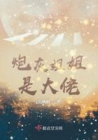 炮灰姐姐逆袭记 作者八匹