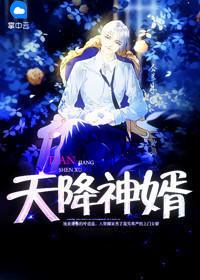 t天降神婿