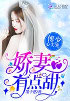 星河迢迢只为见你免费阅读